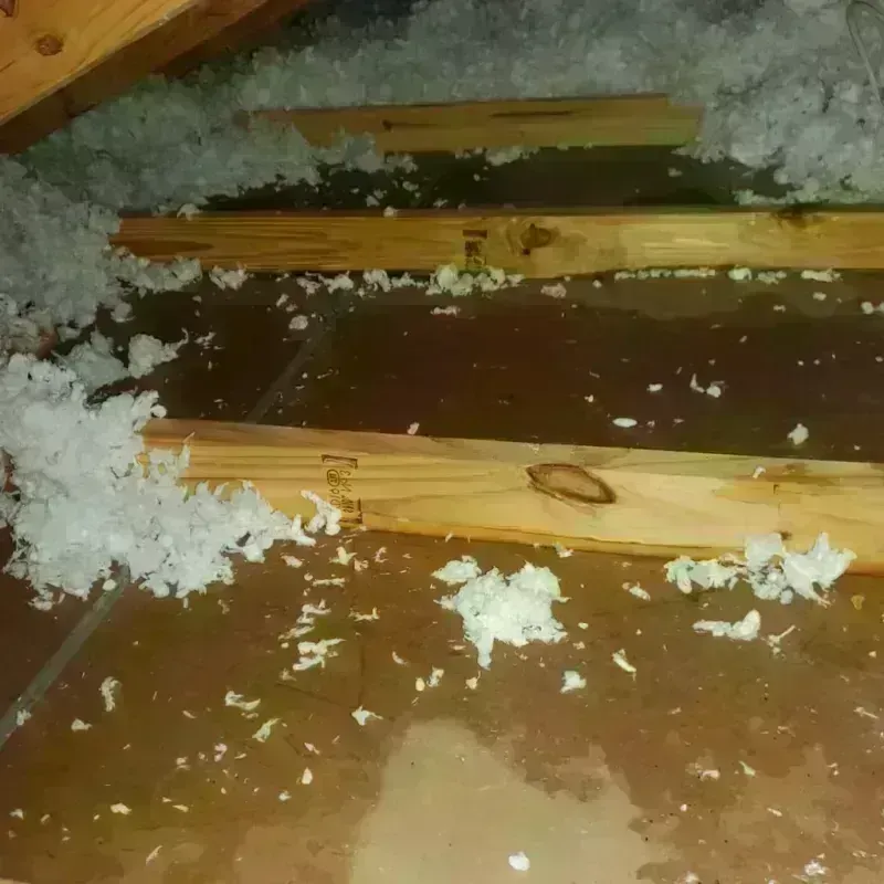 Attic Water Damage in Worth County, GA