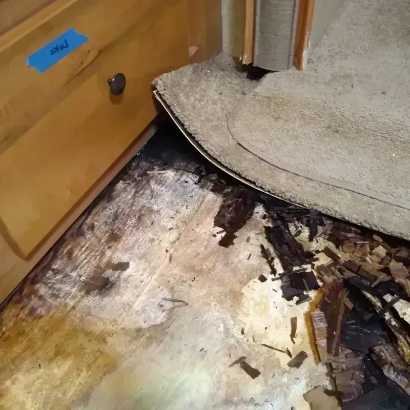 Wood Floor Water Damage in Worth County, GA